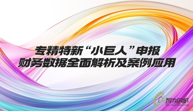 專精特新“小巨人”申報財(cái)務(wù)數(shù)據(jù)全面解析及案例應(yīng)用.jpg