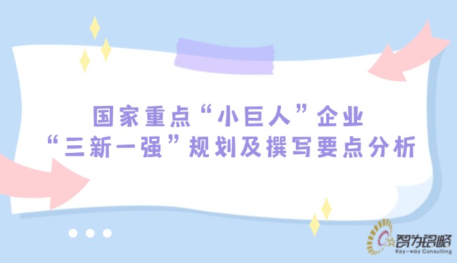 國家重點(diǎn)“小巨人”企業(yè)“三新一強(qiáng)”規(guī)劃及撰寫要點(diǎn)分析.jpg