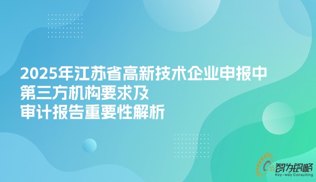 2025年江蘇省高新技術企業申報中*三方機構要求及審計報告重要性解析.jpg