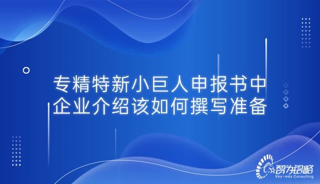 專(zhuān)精特新小巨人申報(bào)書(shū)中的企業(yè)介紹該如何撰寫(xiě)準(zhǔn)備.jpg